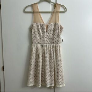 Charlotte Russe Lace Mesh Dress